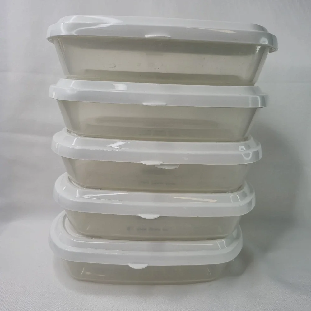 FoodSaver FreshSaver Deli Containers 6